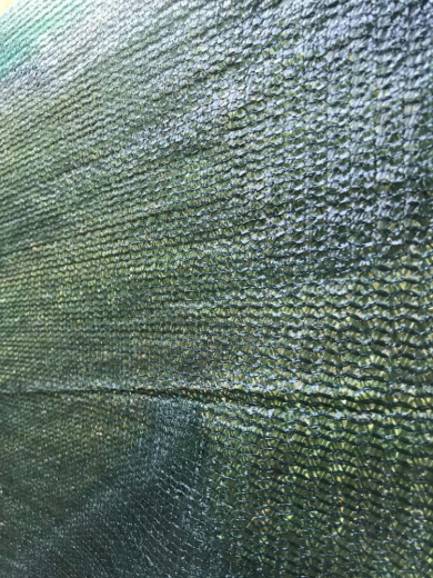 Сетка фасадная 80 г/м2, цвет - зелёный